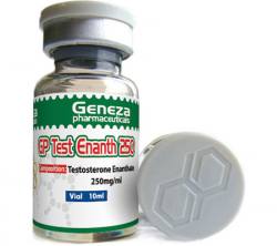GP Test Enanth 250